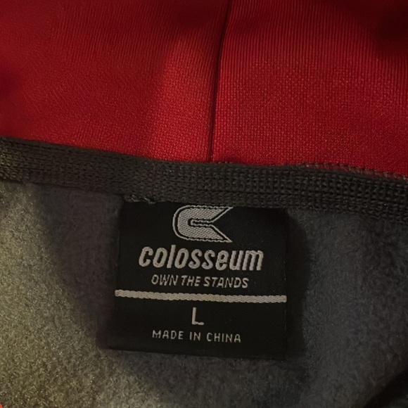 Wisconsin Badgers Colosseum Stadium Men’s L Arch & Logo Pullover Hoodie Gray - Picture 8 of 9